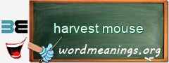 WordMeaning blackboard for harvest mouse